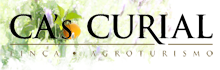 Cas Curial Logo